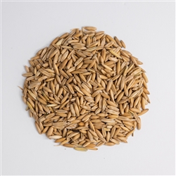 Grain, Oats, 5 lbs