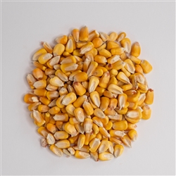Grain, Yellow Corn, 5 lbs